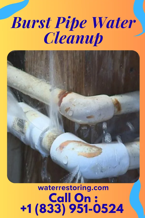 Burst Pipe Water Cleanup in Holley, NY