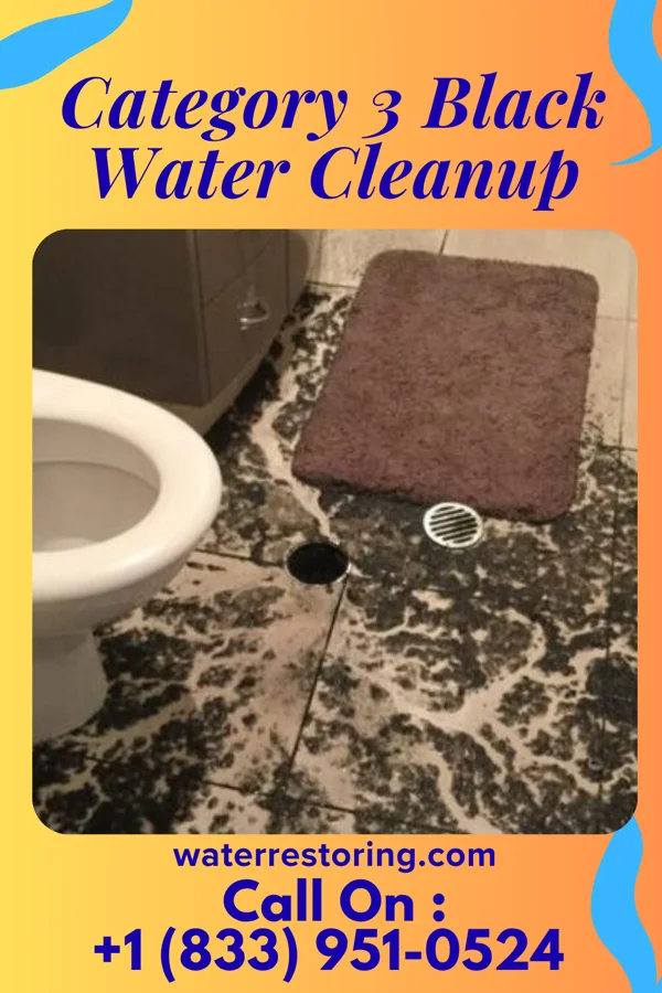 Category 3 Black Water Cleanup in Holley, NY