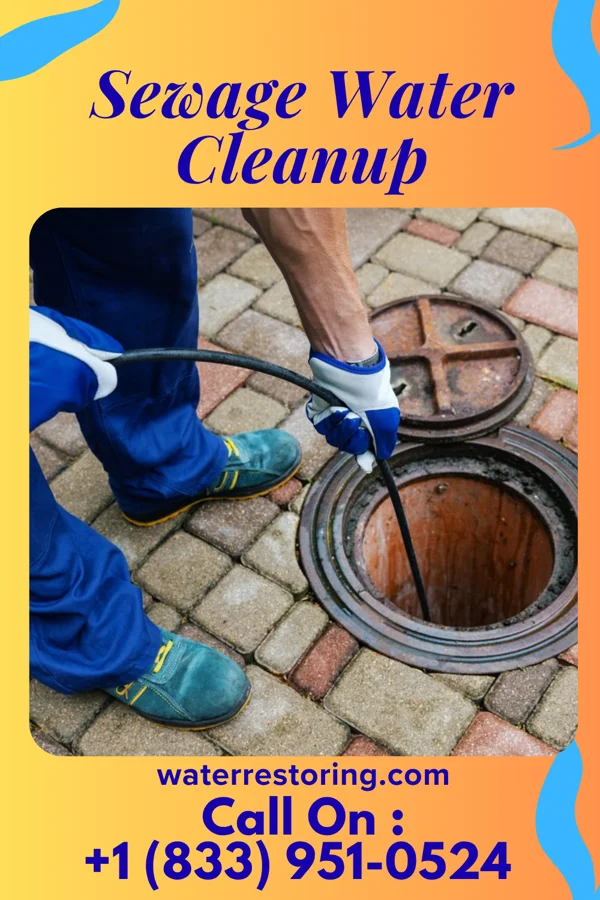 Sewage Water Cleanup in Holley, NY